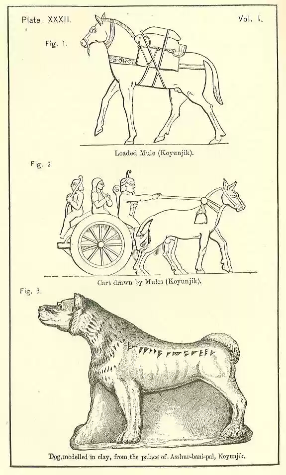plate032